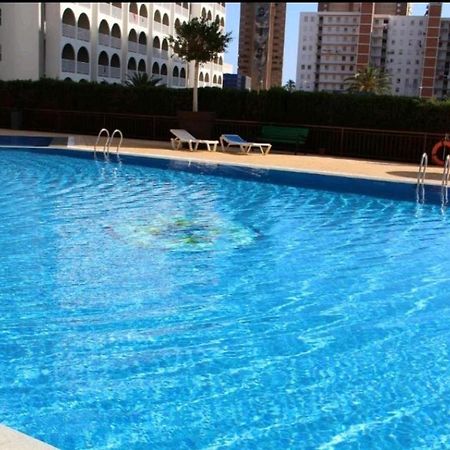 Acuarium Lux Apartman Benidorm Kültér fotó